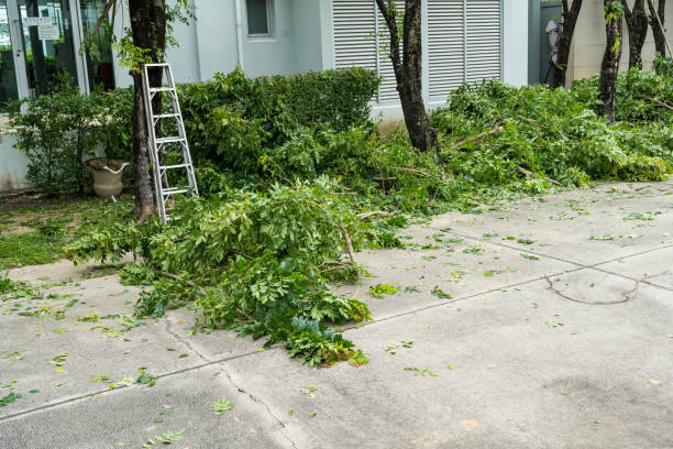 Fort Myers Shores, FL Tree Care  Company